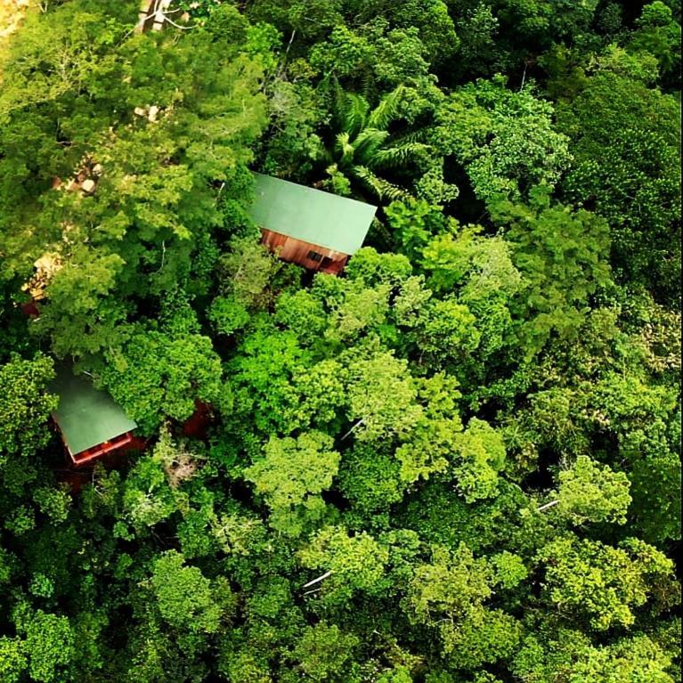 La Luciole Ecolodge Araquari Eksteriør billede